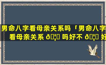 男命八字看母亲关系吗「男命八字看母亲关系 🦉 吗好不 🦁 好」